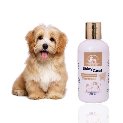 Pettivo Shiny Coat Shampoo 200 ML