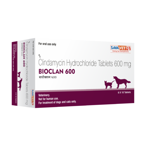 Bioclan 600 Mg Tablet 10 Tablets for Dogs and Cats