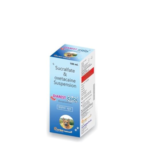 Diarest Cool 100 Ml Syrup
