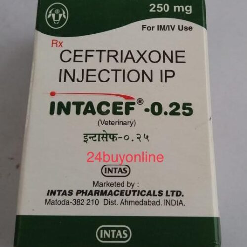 Intacef 0.25 Injection