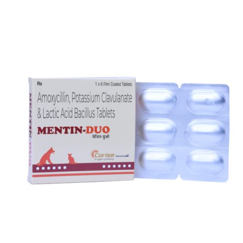 Mentin Duo Tablet 6 Tablet