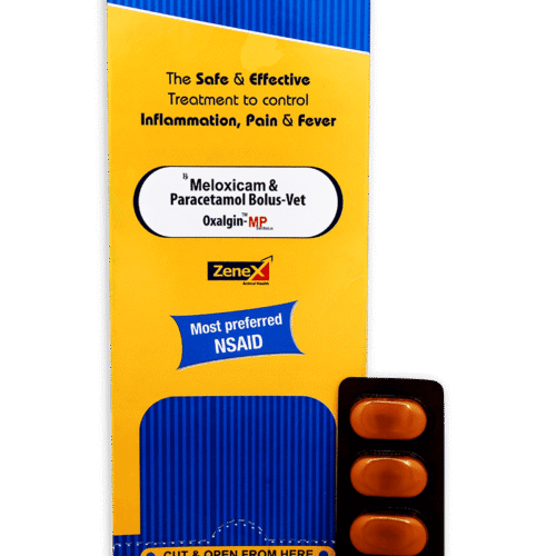 Oxalgin MP Vet Bolus Pack of 4 Bolus