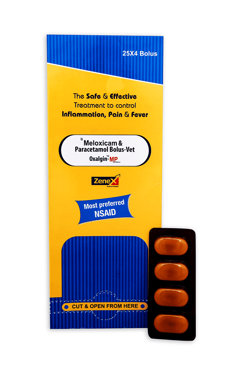 Oxalgin MP Vet Bolus Pack of 4 Bolus