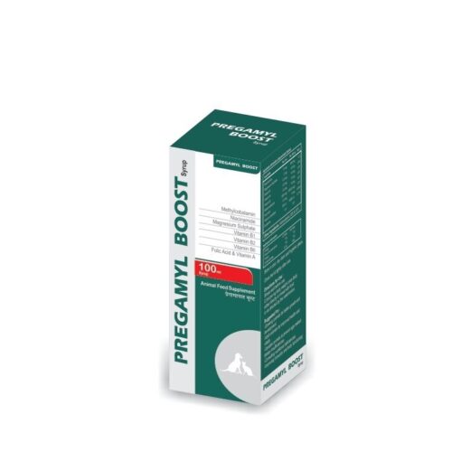 Pregamyl Boost 100 Ml Syrup