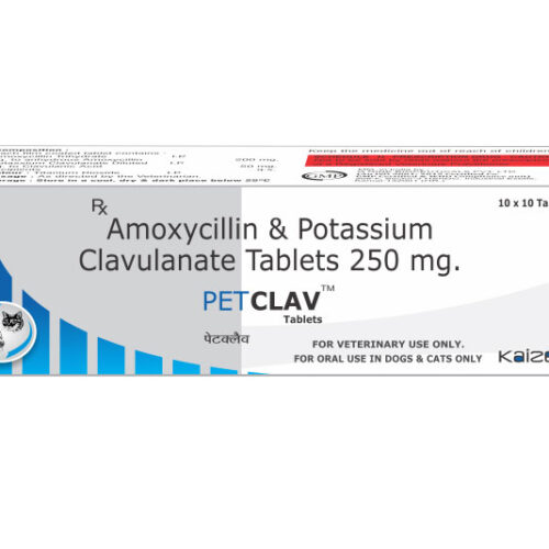Petclav 250 Mg Tablet 10 Tablets