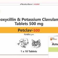 Petclav 500 Mg Tablet 10 Tablets