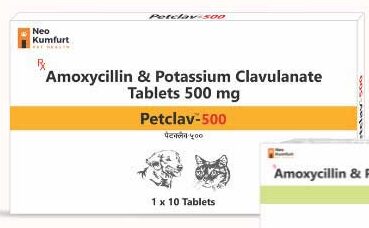 Petclav 500 Mg Tablet 10 Tablets
