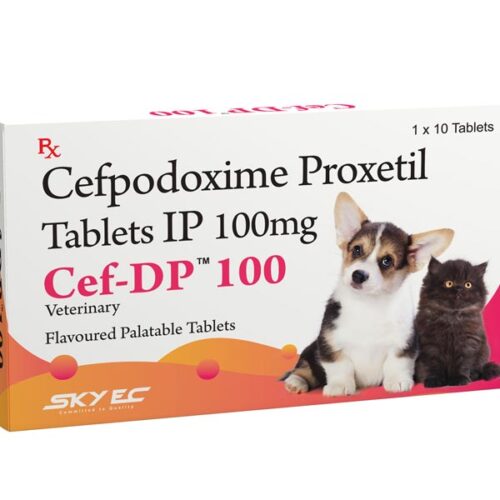 Cef-DP 100 Mg Tablet for Pets