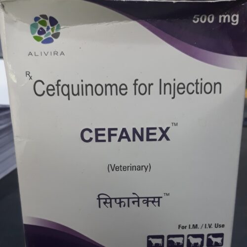 Cefanex 500 Mg Injection