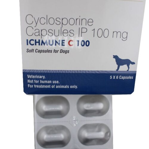 Ichmune C 100 Mg Capsule for Dogs
