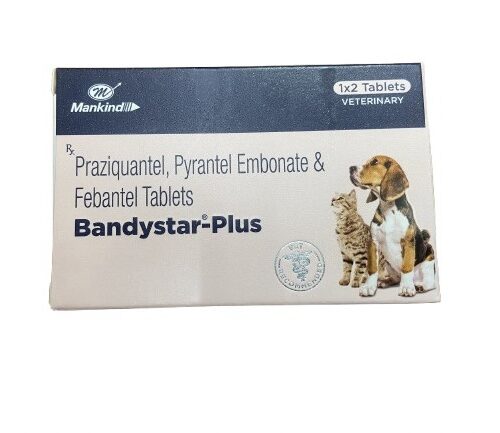 Bandystar Plus Deworming Tablets for Dogs and Cats 2 Tablets