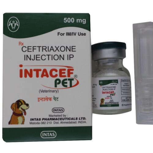 Intacef Pet 500 Mg Injection