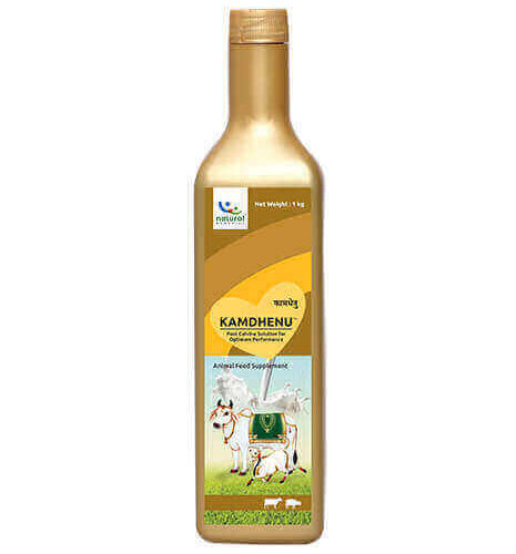 Kamdhenu Liquid 1 Kg