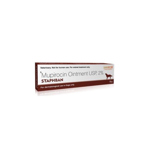 Staphban Ointment 15 Gm