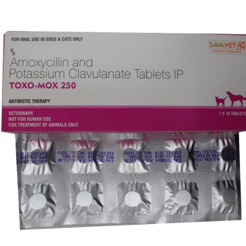 Toxo-Mox 250 Mg Tablet for Pets
