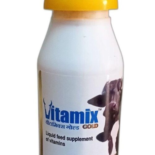 Vitamix Gold 300 Ml