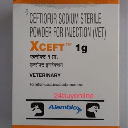 Xceft Injection 1 Gm