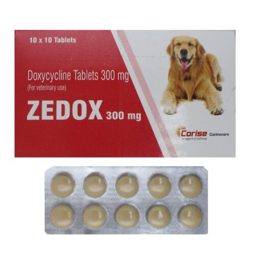 Zedox 300 Mg Tablet 10 Tablets