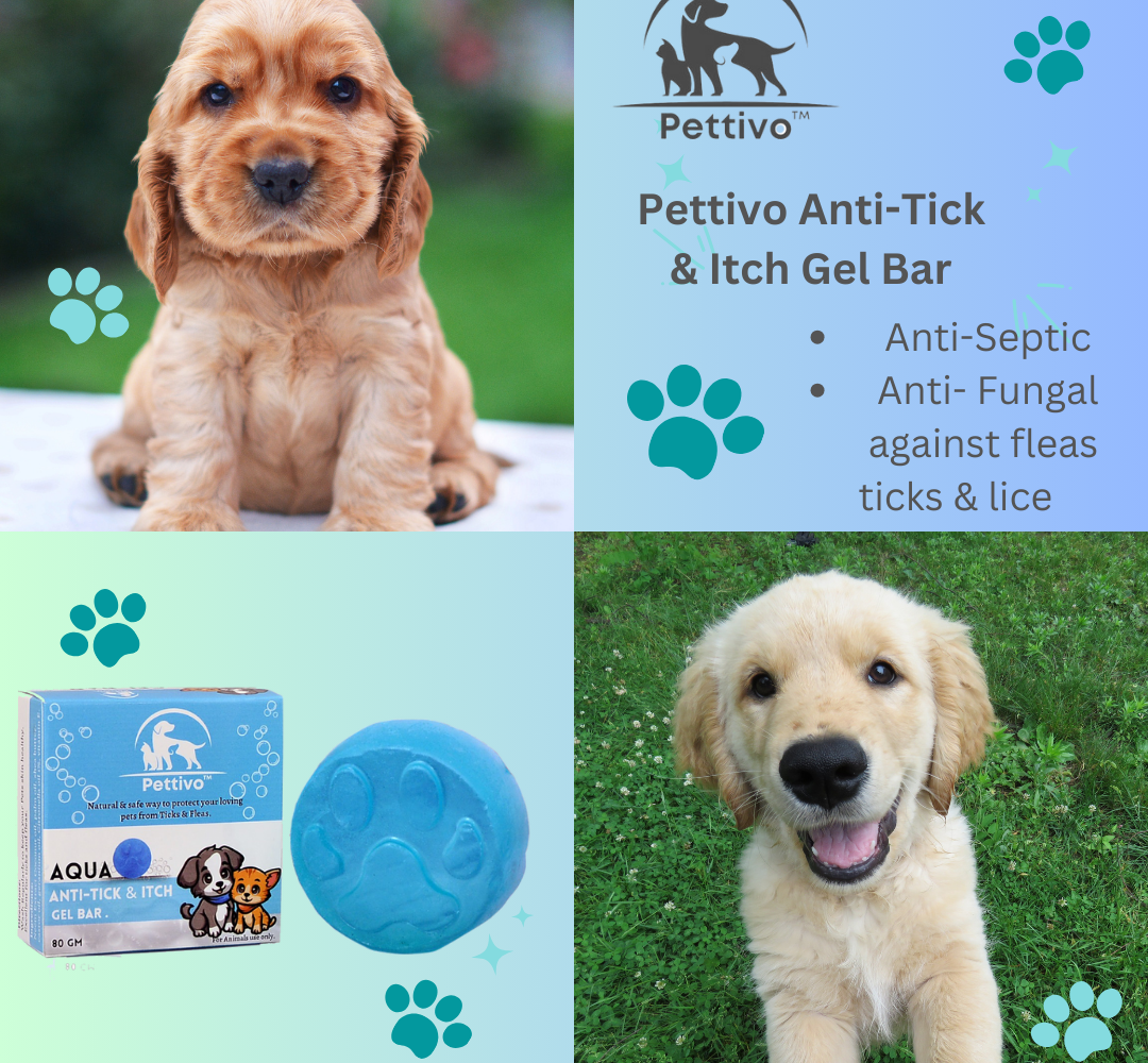 Pettivo Anti-Tick & Itch Gel Bar