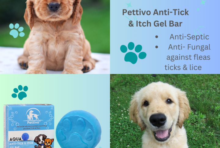 Discover the Ultimate Relief with Pettivo Anti-Tick & Itch Gel Bar for Pets