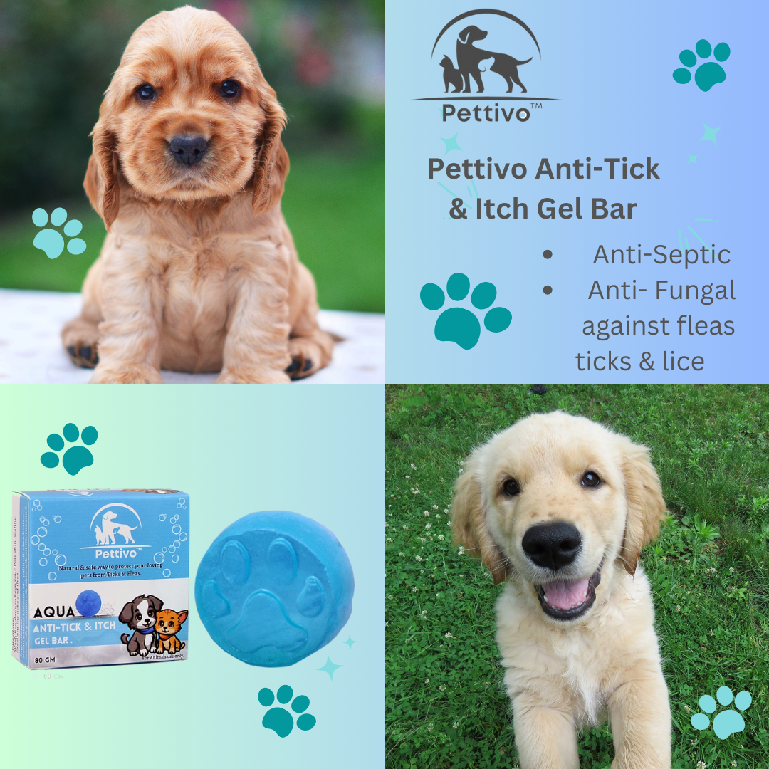 Pettivo Anti-Tick & Itch Gel Bar