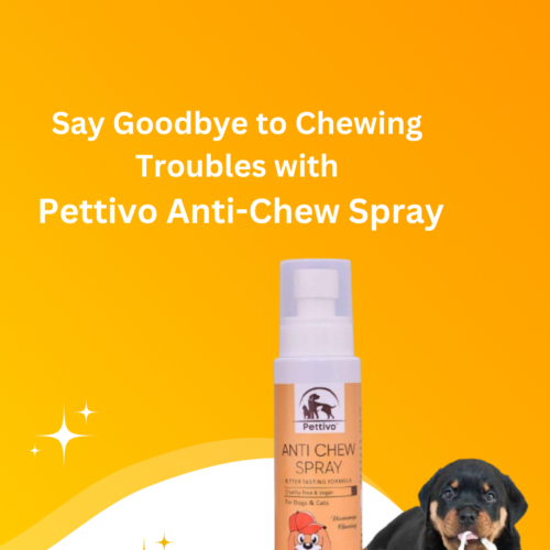 Anti-Chew Spray: The Ultimate Training Aid for Your Pet!