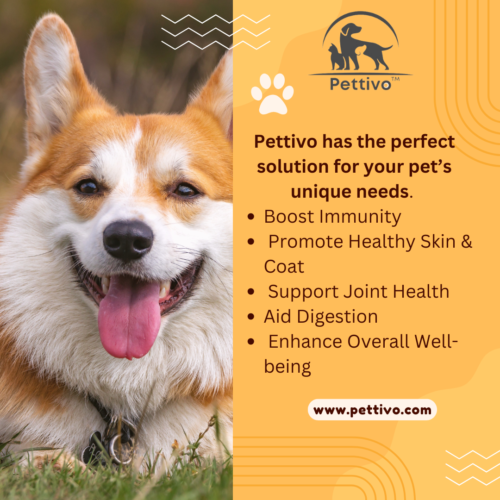 Boost Your Pet’s Health with Vitamins & Supplements from Pettivo