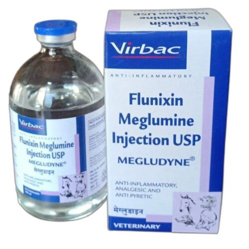 MEGLUDYNE INJECTION