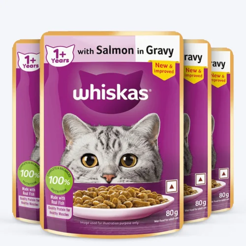 Whiskas Salmon in Gravy (1+ Years) Wet Food For Adult Cat - 80 gm Pack