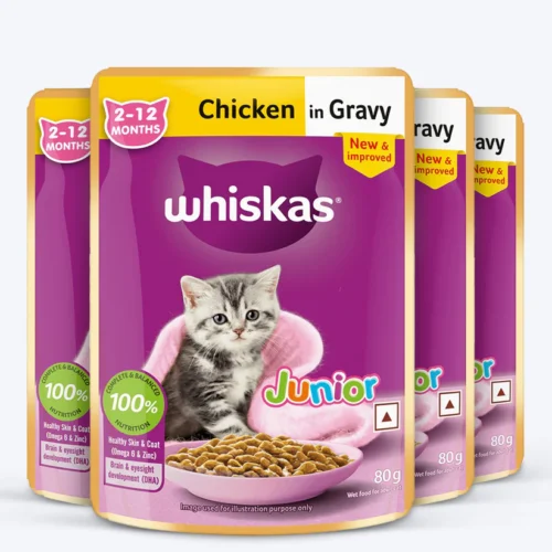 Whiskas Chicken in Gravy (2-12 Months) Wet Food For Junior Kitten - 80 gm Pack