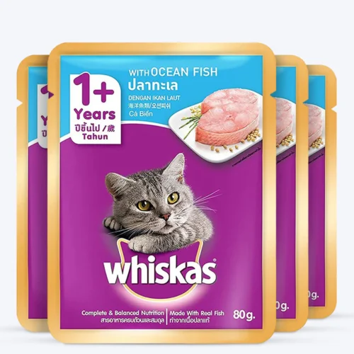 Whiskas Ocean Fish Wet Food For Adult Cat - 80 gm Pack