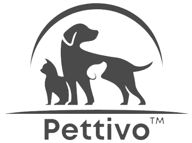 Pettivo