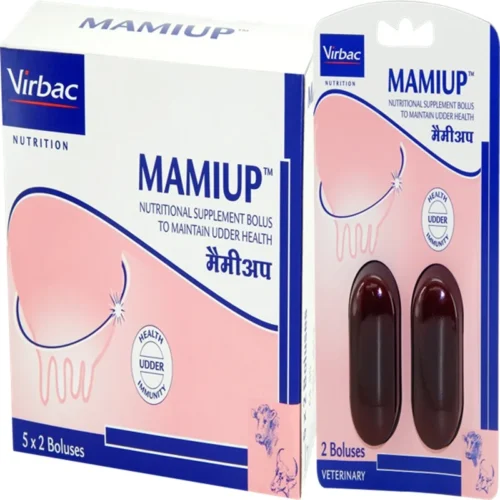 Mamiup Bolus