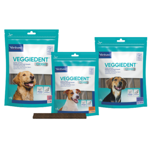 VEGGIEDENT FR3SH DENTAL CHEW FOR DOGS