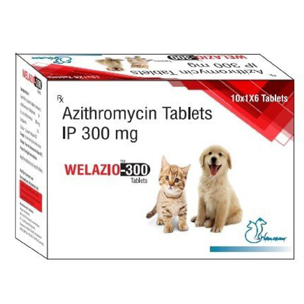 Welazio 300 Mg for Dogs and Cats 6 Tablets