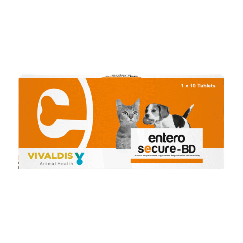 Entero Secure BD Tablet for Dogs and Cats 10 Tablets