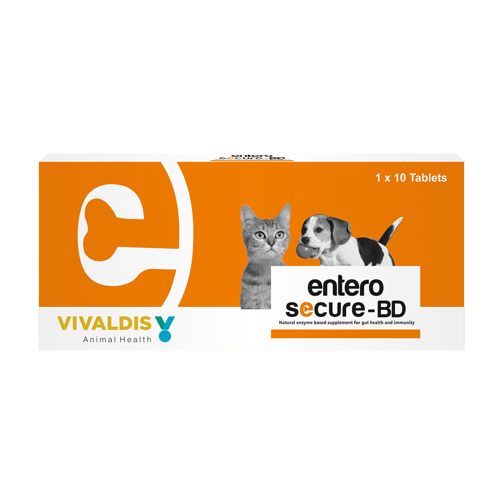 Entero Secure BD Tablet for Dogs and Cats 10 Tablets