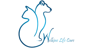 Deecore Tablets 60 Chewable Tablets Pet Health Supplements