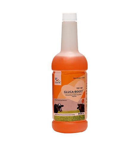 Gluca-Boost 1 Ltr Liquid for Cow