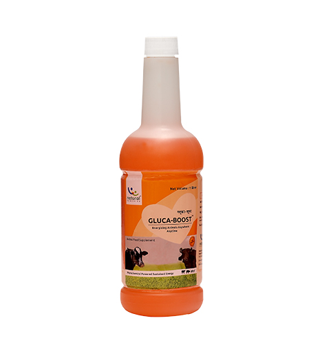 Gluca-Boost 1 Ltr Liquid for Cow