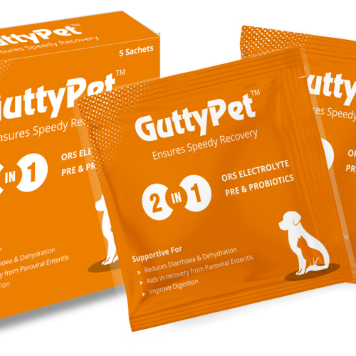 Gutty Pet Sachet Probiotic Supplement for Dogs and Cats Pack of 5 Sachets