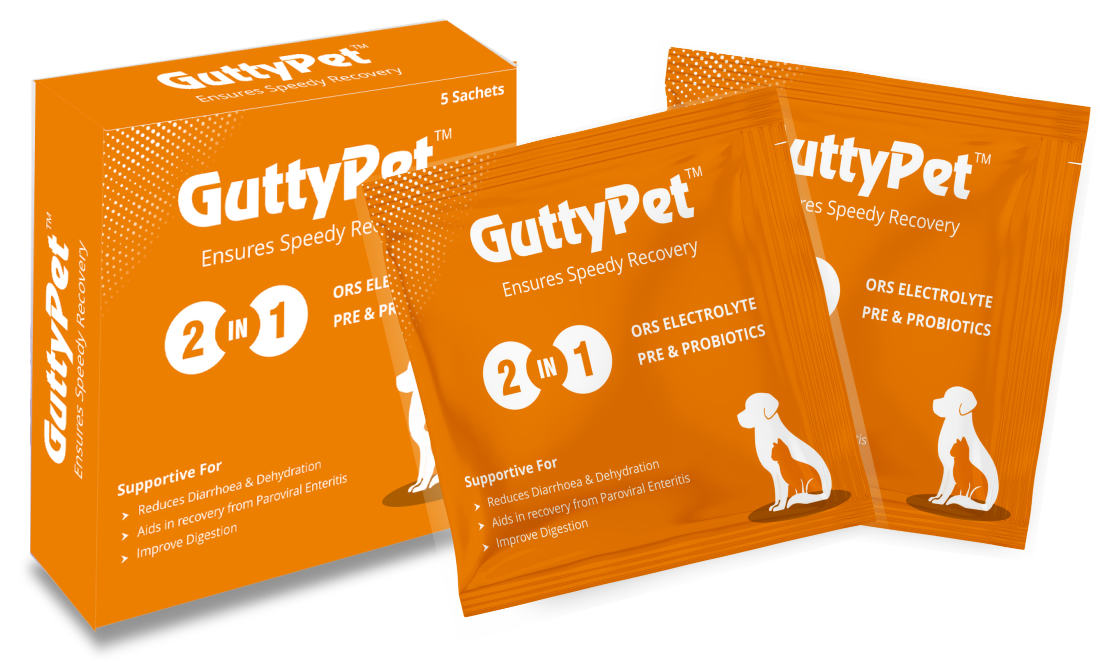Gutty Pet Sachet Probiotic Supplement for Dogs and Cats Pack of 5 Sachets