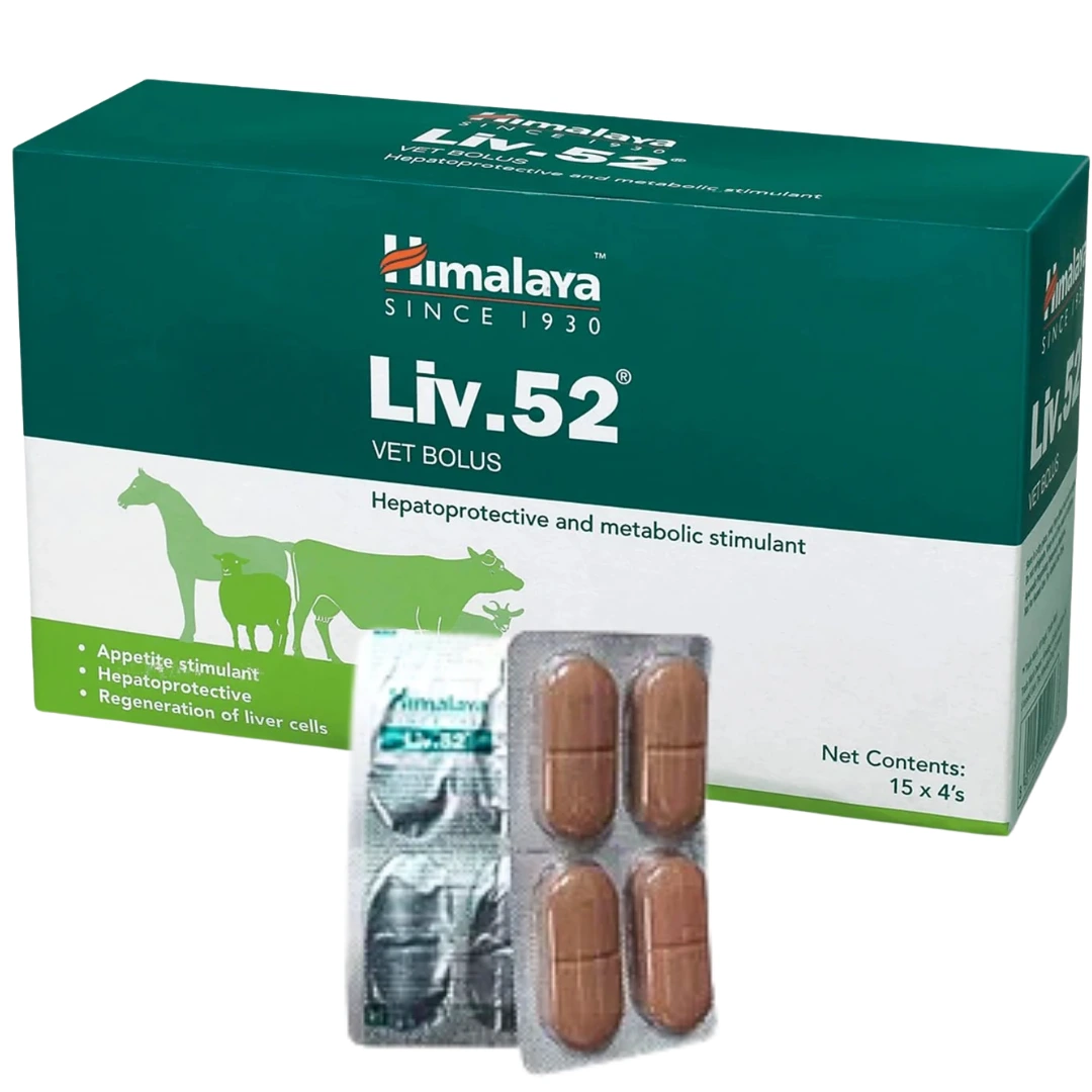 Liv 52 Vet Bolus 5x4 Bolus(Pack of 20 Bolus)