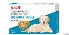DoxyKO 300 mg – Doxycycline & lactic acid bacillus Tablet for Dogs 10 Tablets