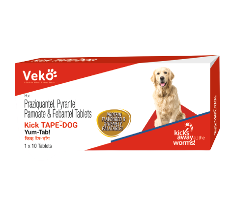 Kick Tape Dog Deworming Tablet 10 Tablets