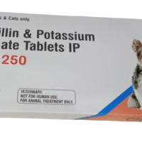 Clavpet 250mg Tablet (Amoxicillin & Potassium Clavulanate) Dogs & Cats 10 Tablets