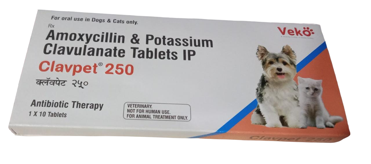 Clavpet 250mg Tablet (Amoxicillin & Potassium Clavulanate) Dogs & Cats 10 Tablets