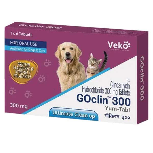 Goclin 300mg (Clindamycin) Tablet for Dogs and Cats 6 Tablets