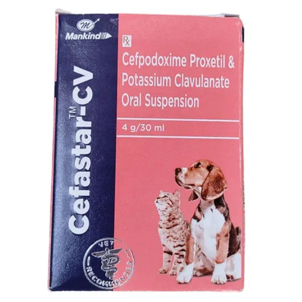 Cefastar CV Dry Syrup (Cefpodoxime Proxetil) for Dogs and Cats 30 Ml