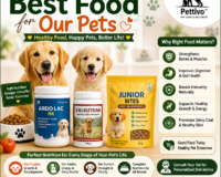 best pet food for dogs